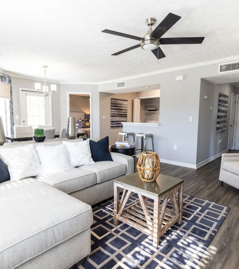 Modern living room with a gray sectional sofa, armchair, rug, ceiling fan, and open view to kitchen and dining area.