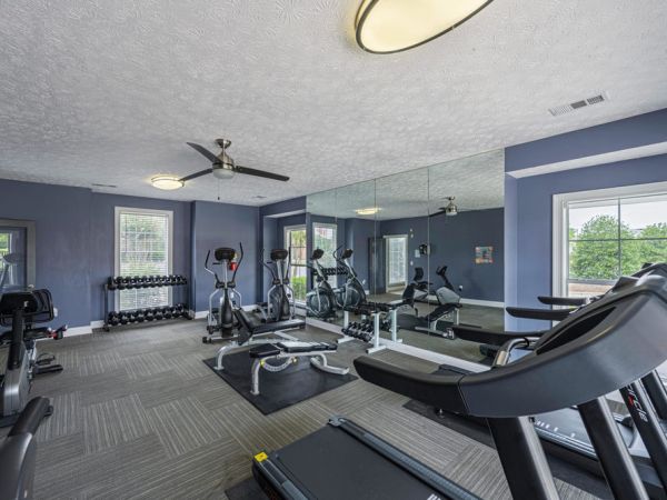 A home gym with treadmills, exercise bikes, weights, and mirrors, with large windows and blue walls.